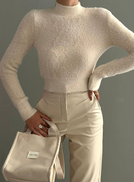 Turtleneck Cropped top